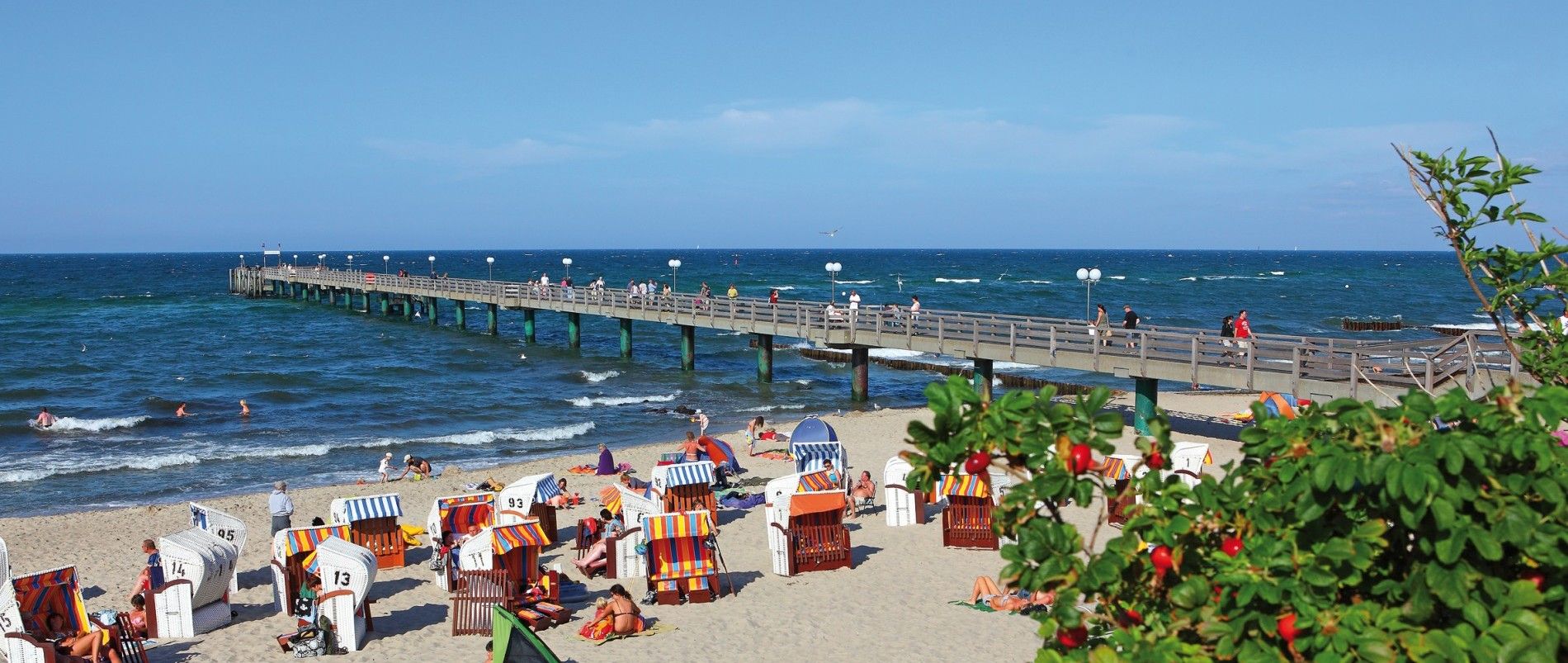 Strand mit bunten Strandkörben, einem Steg ins Meer und blühenden Sträuchern im Vordergrund.