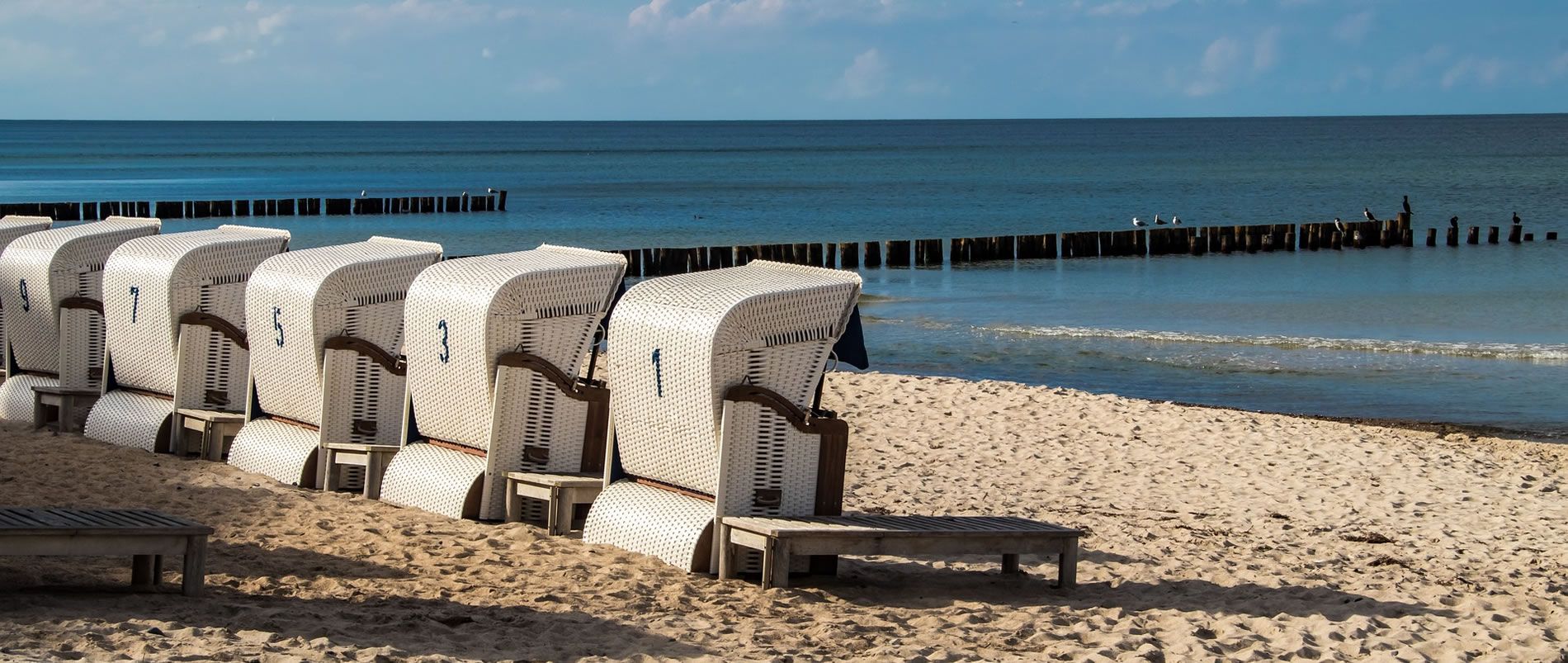 Reihe von Strandkörben auf einem Sandstrand mit ruhigem Meer im Hintergrund.