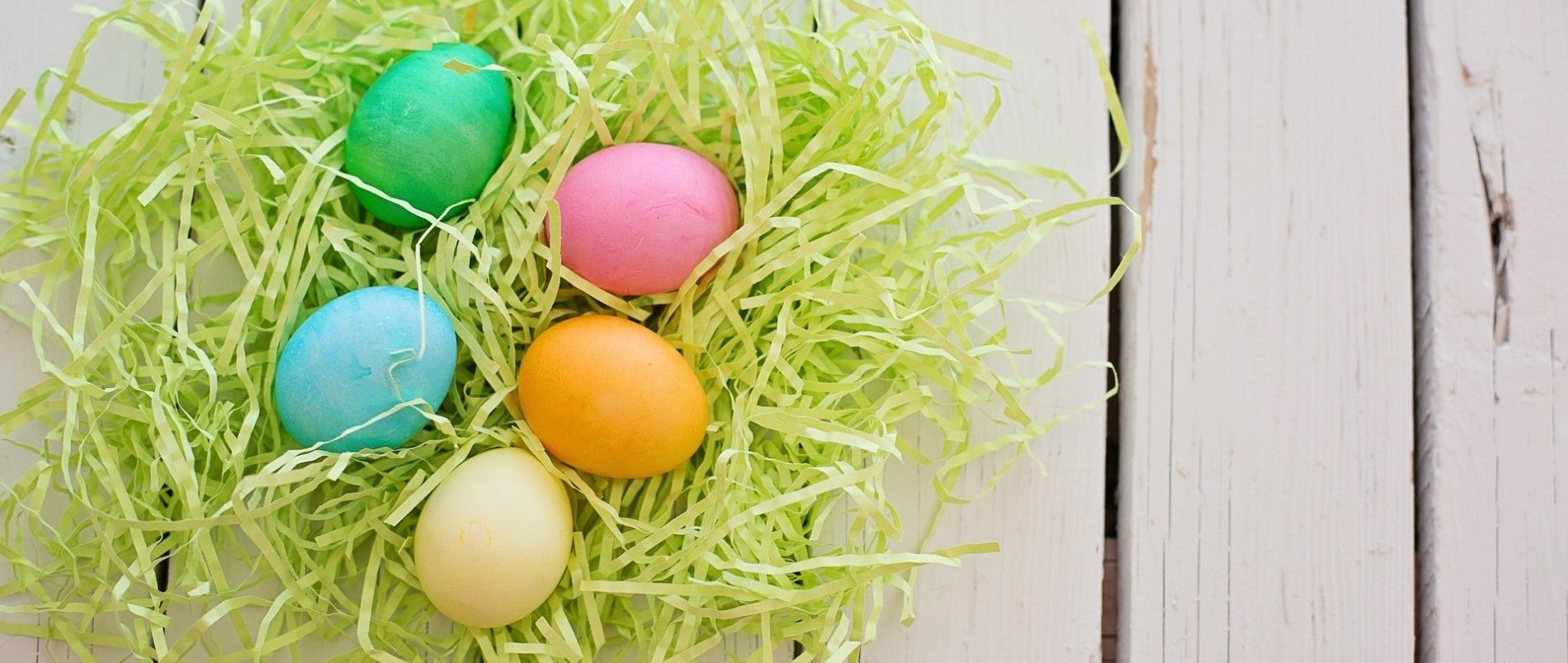 Bunt gefärbte Ostereier in einem Nest aus grünem Holzwolle auf einem weißen Holztisch.