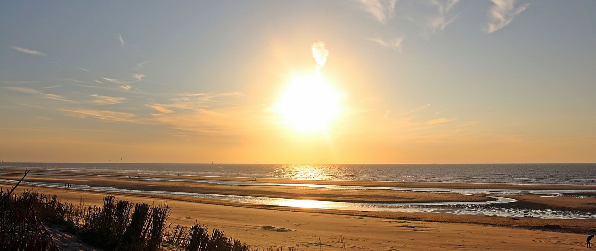 Ein Sonnenuntergang über einem ruhigen Strand mit sanften Wellen und einigen Pflanzen im Vordergrund.