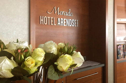 Nahaufnahme von weißen Rosen in einem Hotel, im Hintergrund ein Schild mit der Aufschrift 'Morada Hotel Arendsee'.